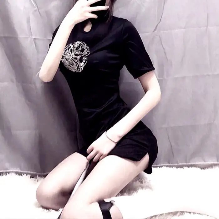 驯龙赛手的起源